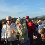 Cambria_0051 (November 02, 2013)